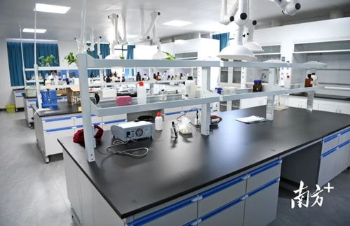 陽春市自來水廠擴容工程即將竣工運營，提升城市供水保障能力