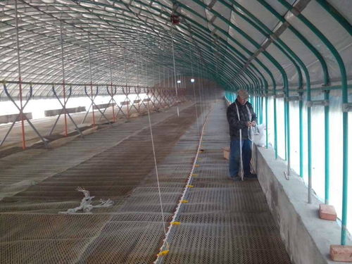 銅陵平菇大棚建造 濰坊三禾農業全國施工與免費設計報價服務